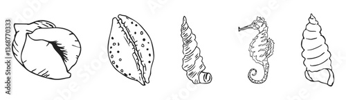 Sea shell sketch ocean life hand drawn illustration. Outline modern style, summer, vacation, beach design elements. Coral and seaweed, starfish line. 