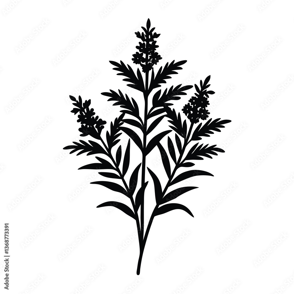 Fototapeta premium goldenrod vector illustrator