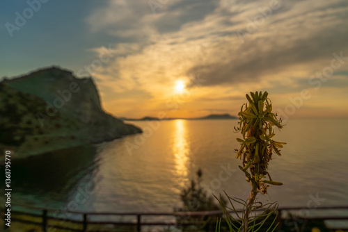 A small plant is growing by the ocean. The sky is a mix of blue and orange, with the sun setting in the background. Scene is peaceful and serene, with the plant.