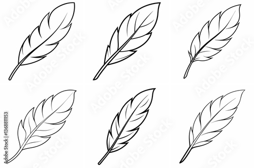 Feather Outline Coloring Book Page – Line Art Drawing Set on White Background