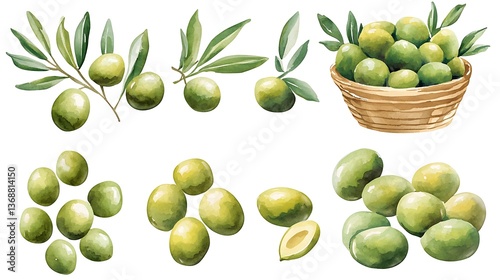 Watercolor green olives set, branches, basket, pile.