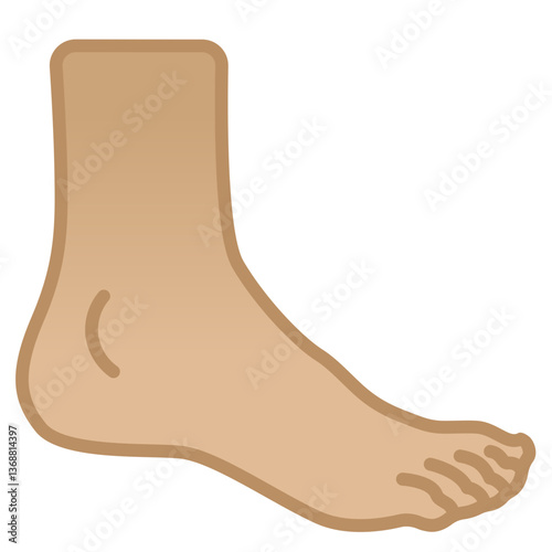 Foot
