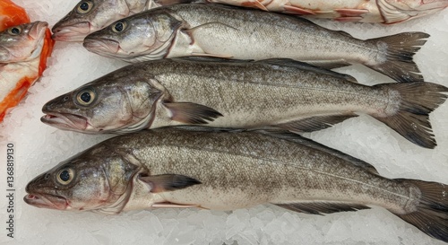 Fresh Burbot on Ice Supermarket Display - Three fresh burbot fish lie on ice, showcasing their silvery scales and firm texture.  The scene symbolizes freshness, quality, healthy eating