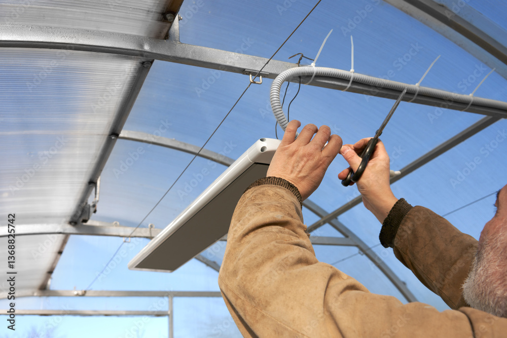 Protecting vegetable crops from spring cold in a greenhouse. A man leads an electric cable laid in a protective tube to an infrared heater attached to the ceiling.