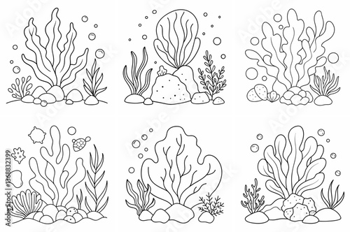 Seaweeds, Stones & Corals Outline Coloring Book Page Line Art Drawing Set
