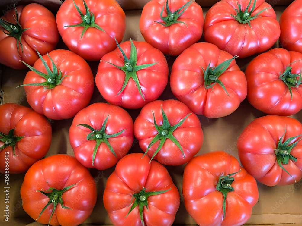 Red tomatoes. Qualitative background from tomatoes. Fresh tomatoes Red tomatoes. Qualitative background from tomatoes. Fresh tomatoes