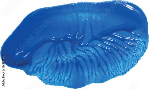Blue paint smear with a smooth, glossy texture on a isolated background