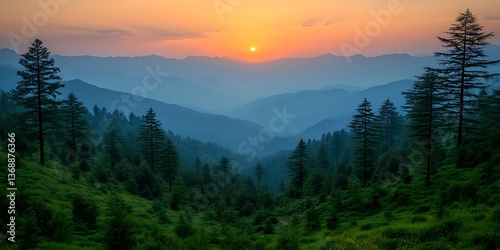 Sunset over layered mountains and pine forest.