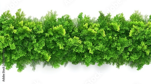 Green wall pattern with reindeer moss texture on white, vector background