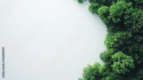 Isolated green moss on white background