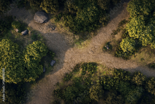Top view DnD battle map of a mountain crossroad path. Realistic scene with trees, bushes, and stones along a curved trail for tabletop RPG gaming.