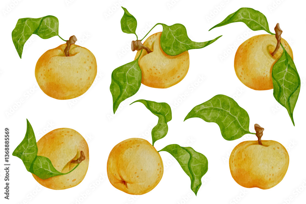 Obraz premium Ripe, juicy yellow apple fruits set. Vector graphics.