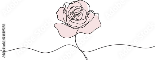 Minimalist Line Art of Rose Flower Illustration in One-Line Drawing Style