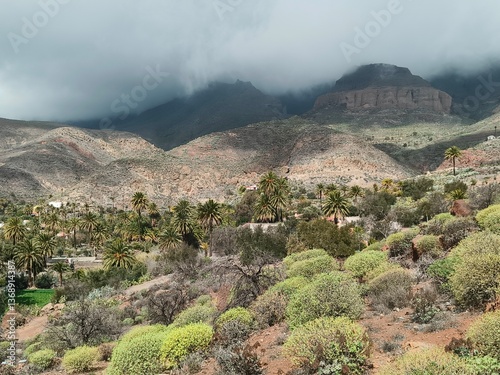 view of the mountains in clouds in Gran Canaria 