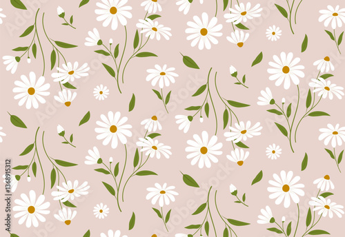 Seamless floral pattern with daisy flowers