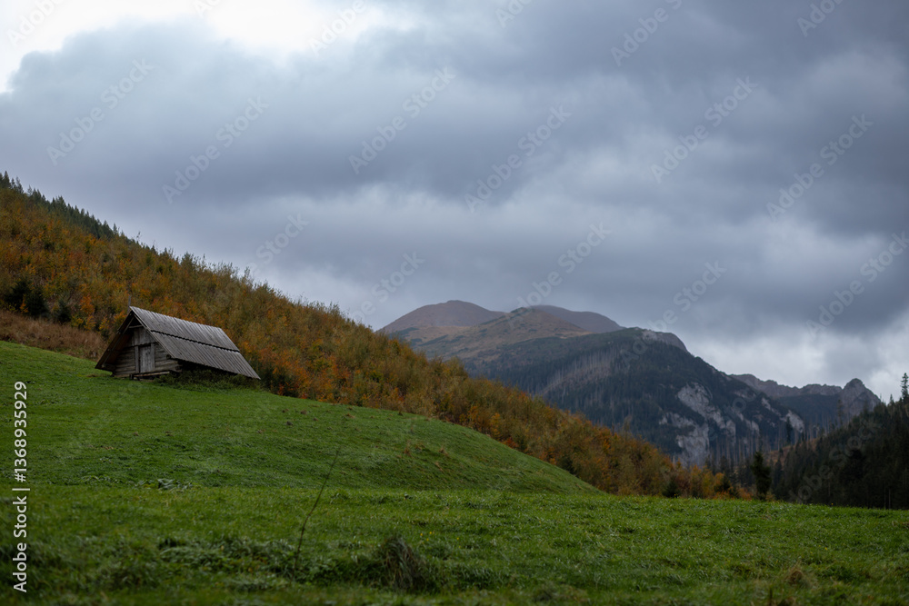 A rustic wooden hut rests on a lush green hillside in the Polish mountains near Kościeliska Valley. Autumn foliage and dramatic clouds create a serene yet moody landscape. A rustic wooden hut rests on a lush green hillside in the Polish mountains near Kościeliska Valley. Autumn foliage and dramatic clouds create a serene yet moody landscape.