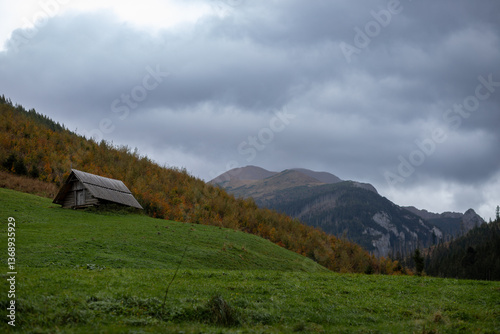 Fototapeta Naklejka Na Ścianę i Meble -  A rustic wooden hut rests on a lush green hillside in the Polish mountains near Kościeliska Valley. Autumn foliage and dramatic clouds create a serene yet moody landscape.