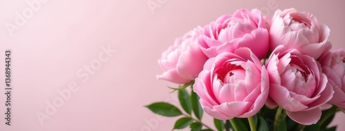 Pink Peonies Floral - Romantic Feminine Copy Space. Ideal for romantic greeting cards, feminine website banners, floral invitation designs, beauty product advertisements