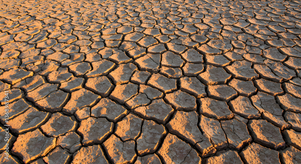 Arid Landscape: Parched Earth Texture with Deep Cracks and Evocative Shadows Arid Landscape: Parched Earth Texture with Deep Cracks and Evocative Shadows