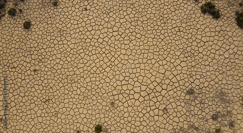 Dried Earth Texture with Cracks in Arid Land Depicting Climate Change Impact