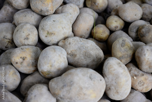 Pile of raw dirty potatoes at market
Close-up view of unwashed, earthy potatoes stacked together in bulk, highlighting their rough texture and natural state.
