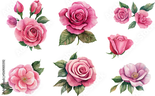 Romantic Watercolor Pink Rose Flower