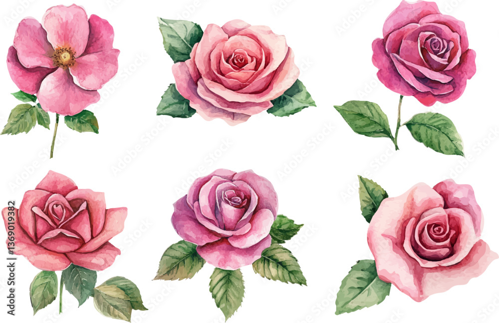 Fototapeta premium Watercolor Pink Rose Flower