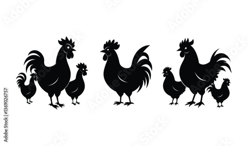 rooster isolated on white set