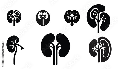 Kidney icon vector. Urology logo design template set