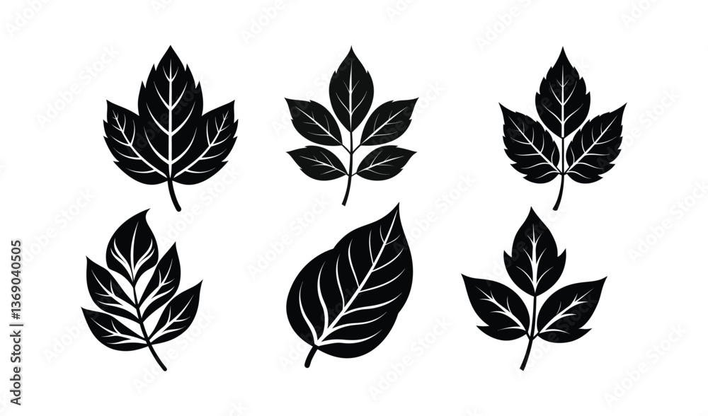 Fototapeta premium set of leaves vector
