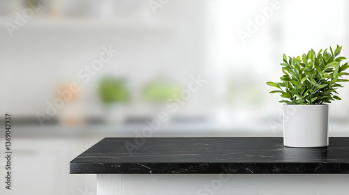 Modern Kitchen Countertop With Green Plant