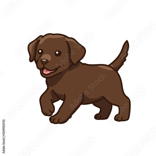 labrador retriever