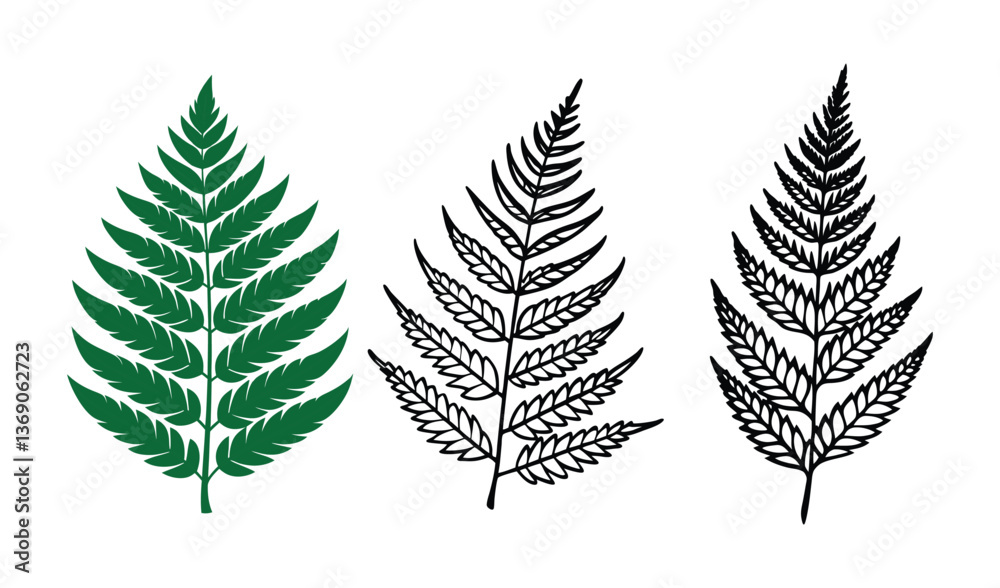 Fototapeta premium set of leaves