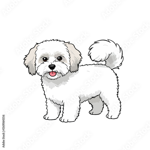
Codon de Tulear