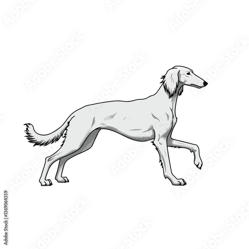 saluki