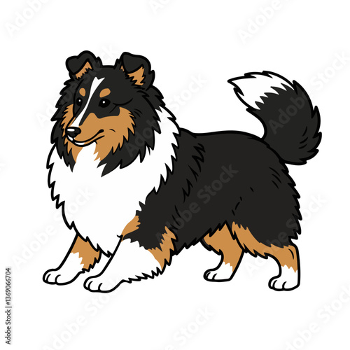 collie