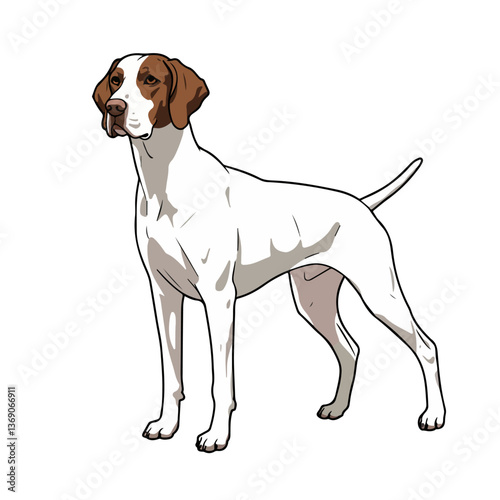 German Shorthaired Pointer