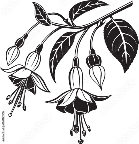 fuchsia vector, hand drawn vector illustration of a flower, fuchsia flower silhouette vector black and white