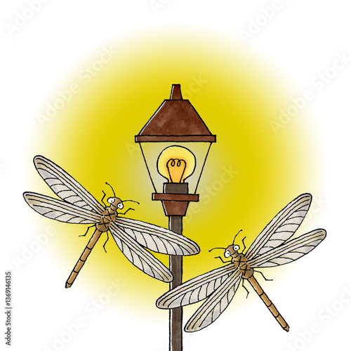 薄羽蜉蝣 Images – Browse 8 Stock Photos, Vectors, and Video