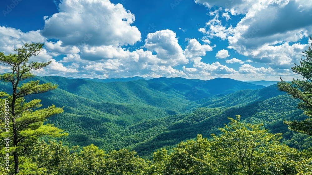 Obraz premium Beautiful mountain range covered in lush greenery with a blue sky and clouds.