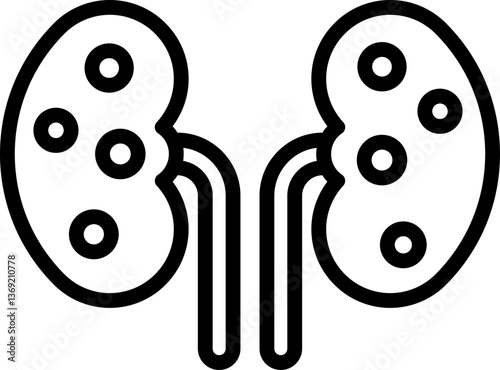 kidneys Illustration on a white background.