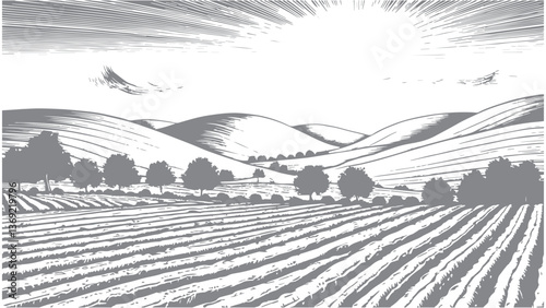 landscape with vineyard and trees