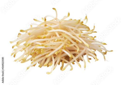 fresh bean sprouts on white background