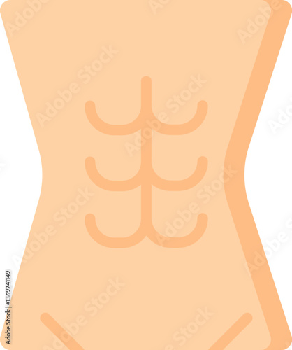 abdominals Illustration on a white background.