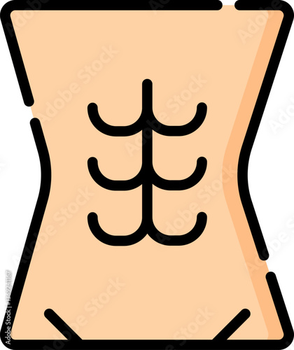 abdominals  Illustration on a white background.