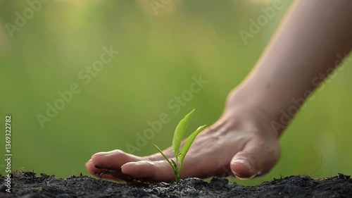 Sustainable business growth concept through green practices in nature slow motion hand planting seedling nurturing environment for future success