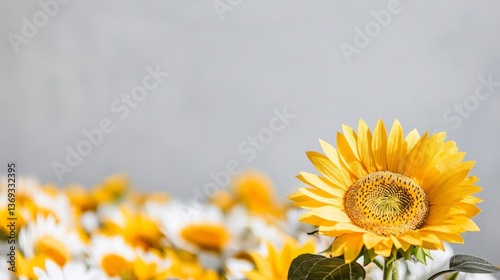 Vibrant Sunflower in a Field of Daisies Bright Yellow Sunflower Blossoms Summer Flowers Nature