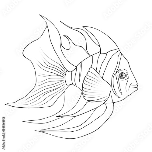 fish vector illustration