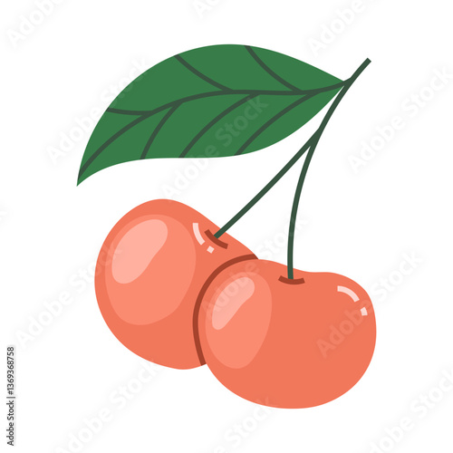 Cherries fruit vector illustration
