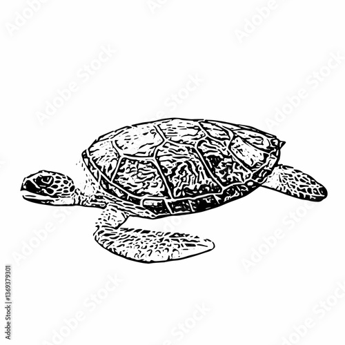 Sea turtle animal line art vector ilustration design 